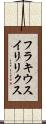 フラキウスイリリクス Scroll