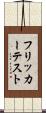 フリッカー・テスト Scroll