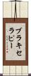 ブラキセラピー Scroll
