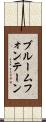 ブルームフォンテーン Scroll