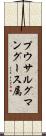 プウサルグマングース属 Scroll