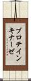 プロテイン・キナーゼ Scroll