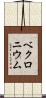 ベクロニウム Scroll