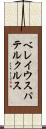 ベレイウスパテルクルス Scroll