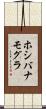 ホシバナモグラ Scroll