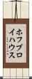 ホフブロイハウス Scroll