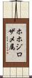 ホホジロザメ属 Scroll