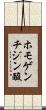 ホモゲンチジン酸 Scroll