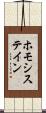 ホモシステイン Scroll