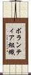 ボランティア組織 Scroll