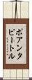 ポアンタピートル Scroll