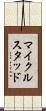 マイクルスタッド Scroll