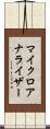 マイクロアナライザー Scroll