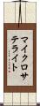マイクロサテライト Scroll