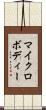 マイクロボディー Scroll