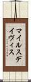 マイルス・デイヴィス Scroll