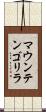マウンテンゴリラ Scroll