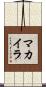 Makylah Scroll