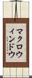 マクロ・ウィンドウ Scroll