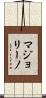 マジョリーノ Scroll