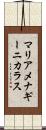 マリアメナギーニカラス Scroll