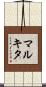 Markita Scroll