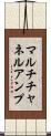 マルチチャネルアンプ Scroll