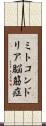 ミトコンドリア脳筋症 Scroll