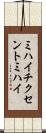 ミハイ・チクセントミハイ Scroll