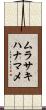 ムラサキハナマメ Scroll