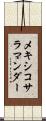 メキシコ・サラマンダー Scroll
