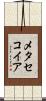 メタセコイア Scroll