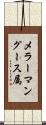 メラーマングース属 Scroll