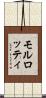モルロッティ Scroll