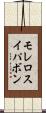 モレロスイパボン Scroll