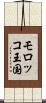 モロッコ王国 Scroll