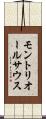 モントリオールサウス Scroll