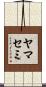 ヤマセミ Scroll