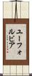 ユーフォルビア Scroll