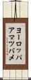 ヨーロッパアマツバメ Scroll