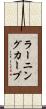 ラーニングカーブ Scroll