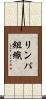 リンパ組織 Scroll
