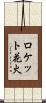 ロケット花火 Scroll