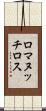 ロマヌッチロス Scroll
