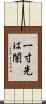 一寸先は闇 Scroll
