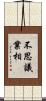不思議業相 Scroll