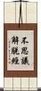 不思議解脫經 Scroll