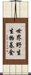 世界野生生物基金 Scroll
