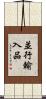 並行輸入品 Scroll