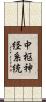 中枢神経系統 Scroll